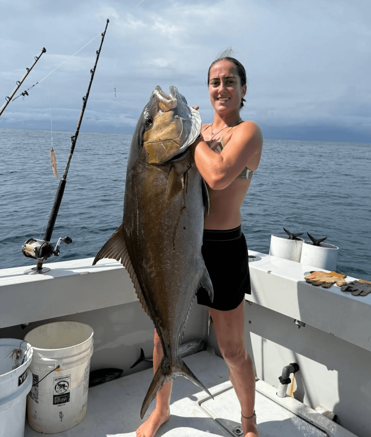 Amberjack